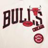 Pro Standard NBA Womens Womens NBA Retro Cascade Cotton Short Sleeve Slim Tee(Team Color)