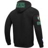 Pro Standard NBA mens Mens Nba Boston Celtics Classic Player Cotton Double Knit Pull Over Hoodie(Black)