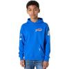 Pro Standard Big Boys NFL Classic Chenille Pull Over Hoodie Cardinal(Royal Blue)