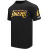 Pro Standard Mens NBA Los Angeles Lakers Lebron James #23 Classic Player Short Sleeve Tee Black L