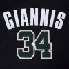 Pro Standard NBA mens Mens Nba Milwaukee Bucks Classic Player Cotton Double Knit Pull Over Hoodie(Black)