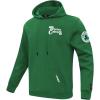 Pro Standard NBA mens Mens Nba Souvenir Brushed Back French Terry Pull Over Hoodie(Kelly Green)