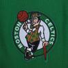 Pro Standard NBA mens Mens Nba Souvenir Brushed Back French Terry Pull Over Hoodie(Kelly Green)