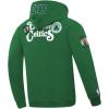 Pro Standard NBA mens Mens Nba Souvenir Brushed Back French Terry Pull Over Hoodie(Kelly Green)
