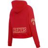 Pro Standard Womens NBA Classic Chenille Cropped Pullover Hoodie(Team Color)