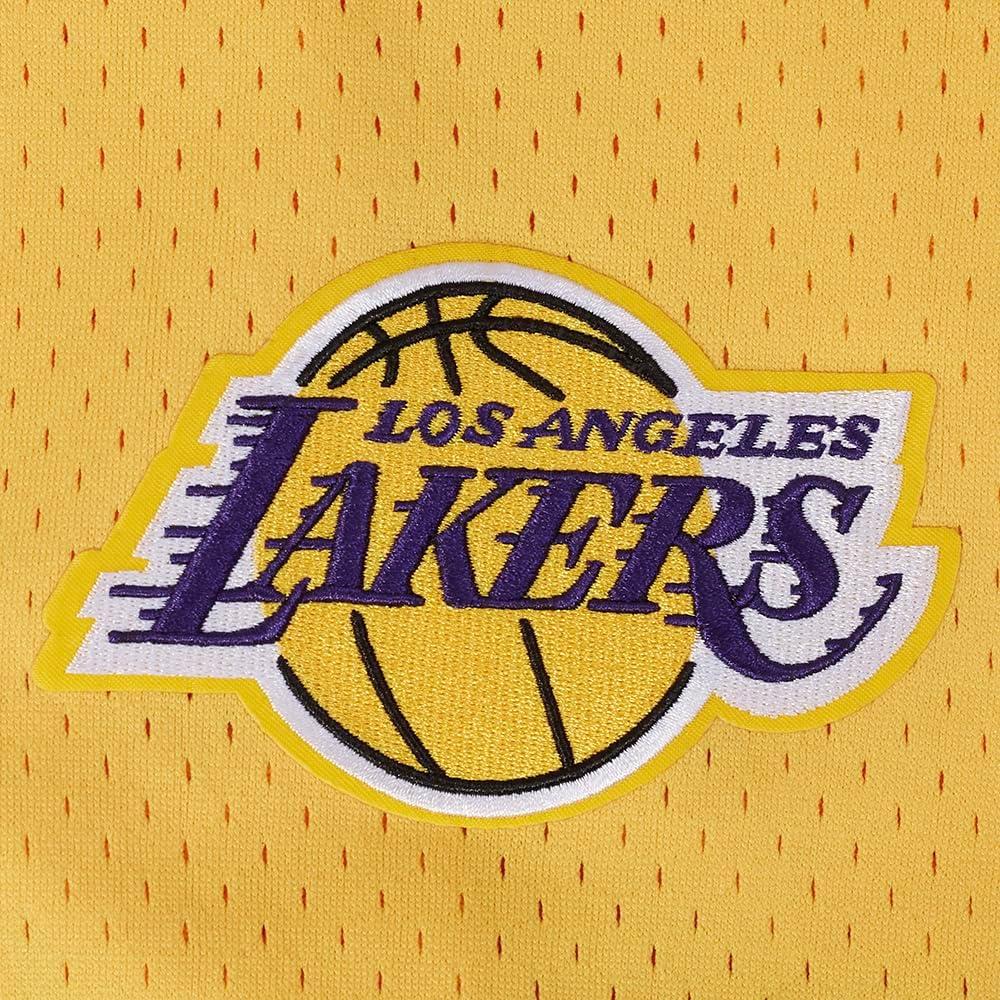 image:imagePro Standard NBA Mens Mens NBA Los Angeles Lakers Classic Player Mesh Down TopTeam Color