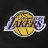 Pro Standard NBA Mens Mens NBA Los Angeles Lakers Classic Player Mesh Down Top(Black)