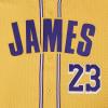 Pro Standard NBA Mens Mens NBA Los Angeles Lakers Classic Player Mesh Down Top(Team Color)