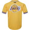 Pro Standard NBA Mens Mens NBA Los Angeles Lakers Classic Player Mesh Down Top(Team Color)
