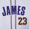 Pro Standard NBA Mens Mens NBA Los Angeles Lakers Classic Player Mesh Down Top(White)