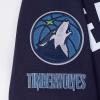 Pro Standard NBA mens Mens Nba Minnesota Timberwolves Classic Player Cotton Double Knit Pull Over Hoodie(Team Color)