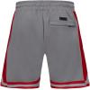 Pro Standard Mens NFL Script Tail Athletic Short(Gray/Red)