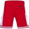 Pro Standard Mens NFL Script Tail Athletic Short(Red)