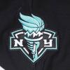 Pro Standard Mens WNBA Retro Classics Brushed Back French Terry Pull Over Hoodie(Black)