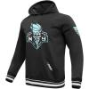 Pro Standard Mens WNBA Retro Classics Brushed Back French Terry Pull Over Hoodie(Black)