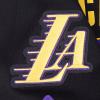 Pro Standard NBA Mens Mens NBA Los Angeles Lakers Classic Player Cotton Double Knit Button Down(Black/Purple)