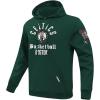 Pro Standard NBA mens Mens Nba Modern Originals Brushed Back French Terry Pull Over Hoodie(Forest Green)