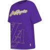 Pro Standard NBA Womens Womens NBA Sheer Influence Boyfriend Fit Tee(Purple)