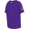 Pro Standard NBA Womens Womens NBA Sheer Influence Boyfriend Fit Tee(Purple)