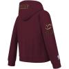 Pro Standard NBA boys Big Boys Nba Cleveland Cavaliers Classic Player Fleece Pull Over Hoodie(Wine)