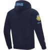 Pro Standard NBA mens Mens Nba Memphis Grizzlies Classic Player Cotton Double Knit Pull Over Hoodie(Team Color)