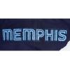 Pro Standard NBA mens Mens Nba Memphis Grizzlies Classic Player Cotton Double Knit Pull Over Hoodie(Team Color)