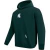 Pro Standard Men’s College Classic Icon Pull Over Hoodie(Forest Green)