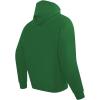 Pro Standard Men’s College Classic Icon Pull Over Hoodie(Kelly Green)