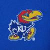 Pro Standard Men’s College Classic Icon Pull Over Hoodie(Royal Blue)