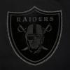 Pro Standard Mens NFL Blackout Pull Over Hoodie(Black)