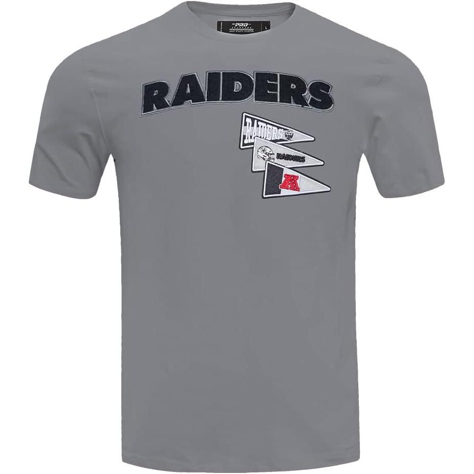 image:imagePro Standard Mens NFL Team Pennants Cotton Short Sleeve TeeGray
