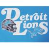 Detroit Lions NFL Souvenir Men’s Jersey Tee (Aqua) by Pro Standard(Aqua)