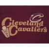 Pro Standard Mens NBA Souvenir Cotton Short Sleeve Tee(Wine)
