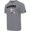 Pro Standard Mens NFL Team Pennants Cotton Short Sleeve Tee(Gray)
