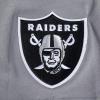 Pro Standard Mens NFL Team Pennants Cotton Short Sleeve Tee(Gray)