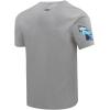 Pro Standard Mens NFL Team Pennants Cotton Short Sleeve Tee(Heather Grey)