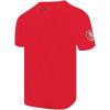 Pro Standard Mens NFL Team Pennants Cotton Short Sleeve Tee(Red)