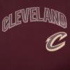Pro Standard NBA Mens Mens NBA Mesh Cotton Taping Tee(Wine)