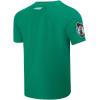 Pro Standard NBA Mens Mens NBA Team Pennants Cotton Short Sleeve Tee(Primary Team Color)