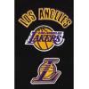 Pro Standard NBA Boys Big Boys NBA Retro Classics Cotton Taping Tee(Black/Purple)