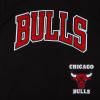 Pro Standard NBA Boys Big Boys NBA Retro Classics Cotton Taping Tee(Black/Red)
