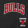 Pro Standard NBA Boys Big Boys NBA Retro Classics Cotton Taping Tee(Black/Red)