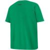 Pro Standard NBA Boys Big Boys NBA Retro Classics Cotton Taping Tee(Kelly Green)