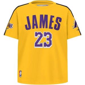 Pro Standard Big Boys NBA Los Angeles Lakers Lebron James #23 Classic Player Short Sleeve Taping Tee Yellow/Black L