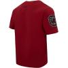 Pro Standard Mens Pro Standard Mens College Classic Chenille Short Sleeve Tee(Cardinal Red)
