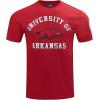 Pro Standard Mens Pro Standard Mens College Classic Chenille Short Sleeve Tee(Cardinal Red)