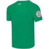 Pro Standard Mens Pro Standard Mens College Classic Chenille Short Sleeve Tee(Kelly Green)