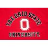 Pro Standard Mens Pro Standard Mens College Classic Chenille Short Sleeve Tee(Red)