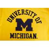 Pro Standard Mens Pro Standard Mens College Classic Chenille Short Sleeve Tee(Yellow)