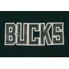 Pro Standard NBA Womens Womens NBA Classic Chenille Bike Short(Forest Green)
